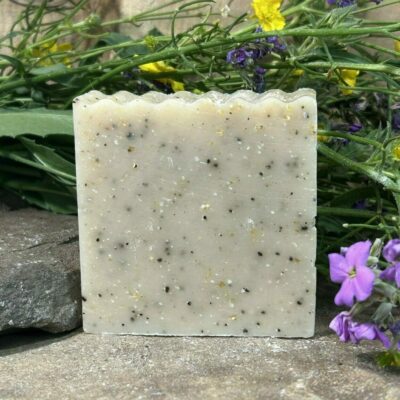 Bella Mia Botanicals & Farmstead | Goat Milk Soap | All Natural Soap | Herbal Bath & Body 35 Spiced Coffee Scrub Bar