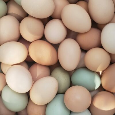 Hatching Eggs (Pickup or Ship)