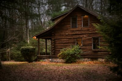 Homesteading Book: For Beginners & Beyond