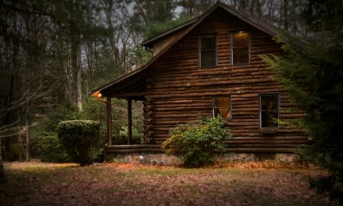 Homesteading: For Beginners & Beyond (eBook)